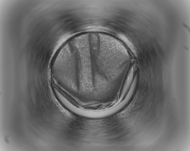 X0000096211376200802081451