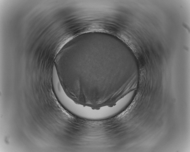 X0000096211377200802081451