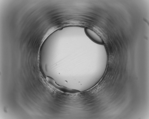 X0000096211378200802081451