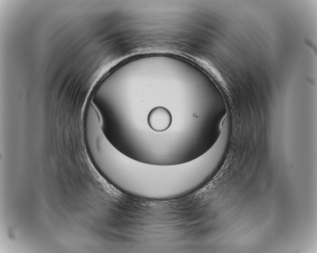 X0000096211380200802081451