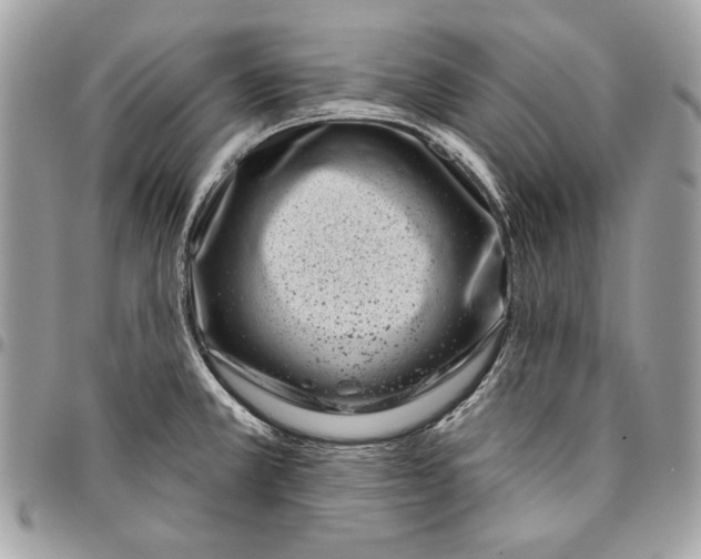 X0000096211381200802081451