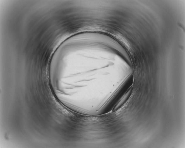 X0000096211382200802081451