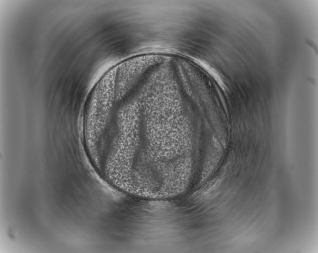 X0000096211383200802081451