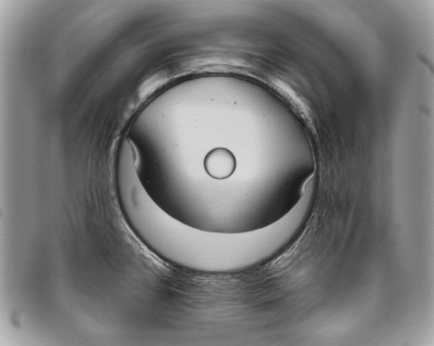 X0000096211384200802081451