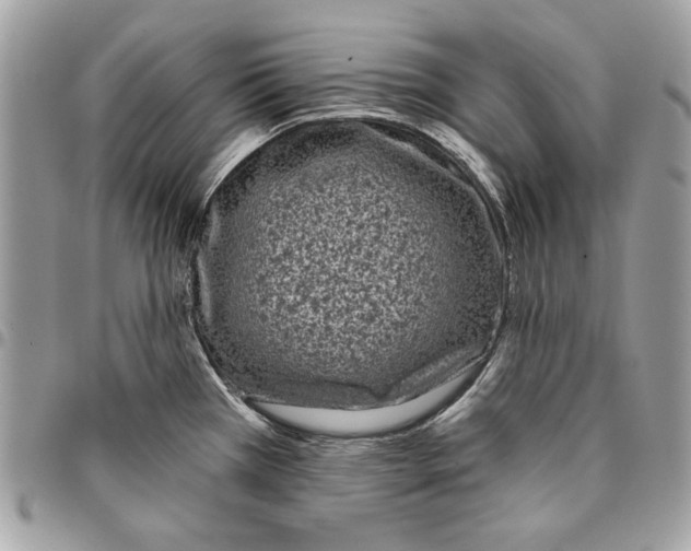 X0000096211385200802081451