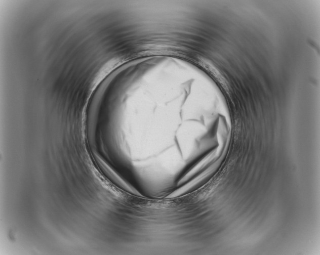 X0000096211386200802081451