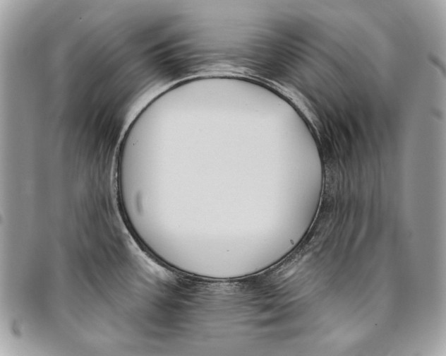 X0000096211387200802081451