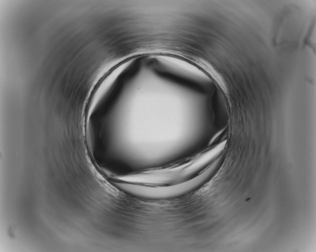 X0000096211388200802081451