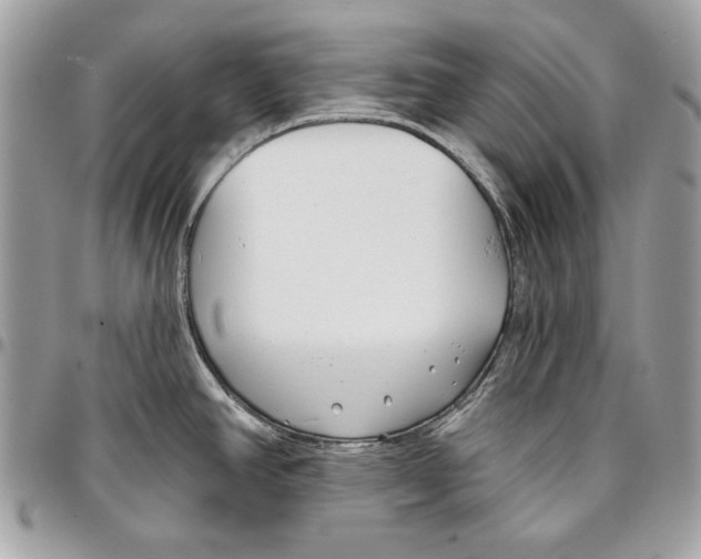 X0000096211390200802081451