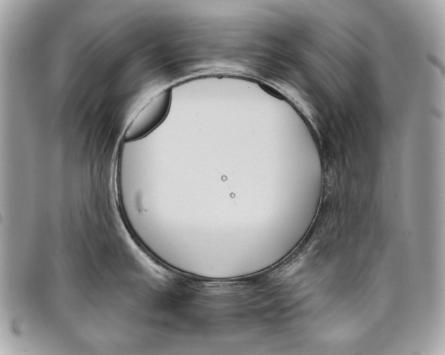 X0000096211391200802081451