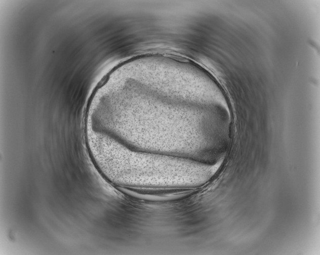 X0000096211392200802081451