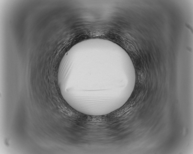 X0000096211393200802081450