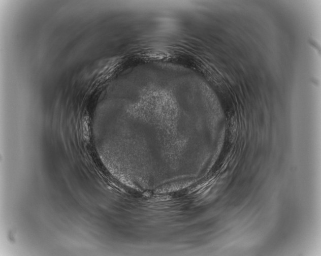 X0000096211394200802081450