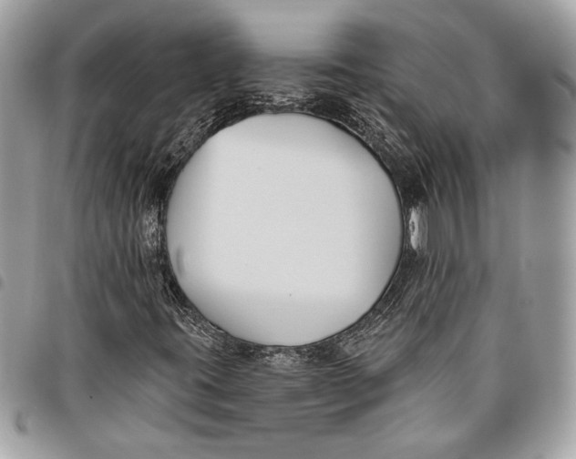 X0000096211395200802081450