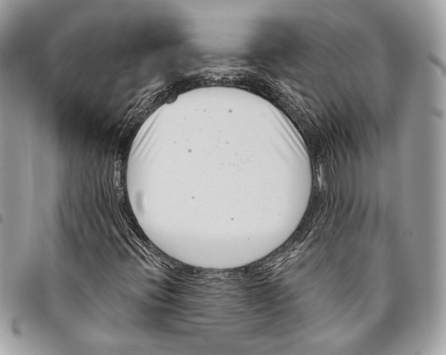 X0000096211396200802081450