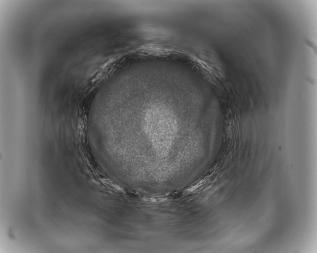 X0000096211397200802081450