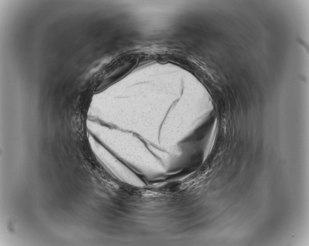 X0000096211398200802081450