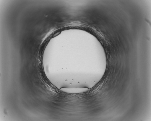 X0000096211400200802081450