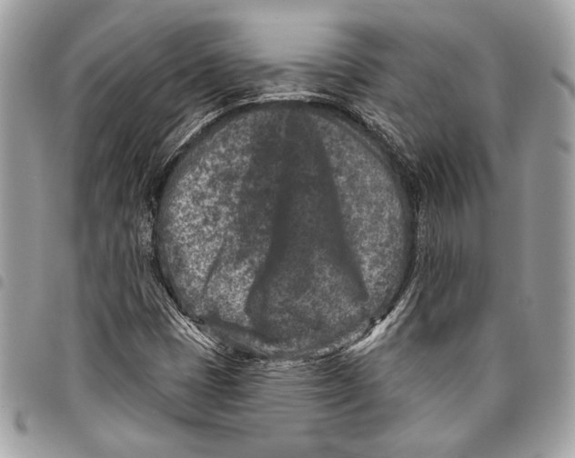 X0000096211401200802081450