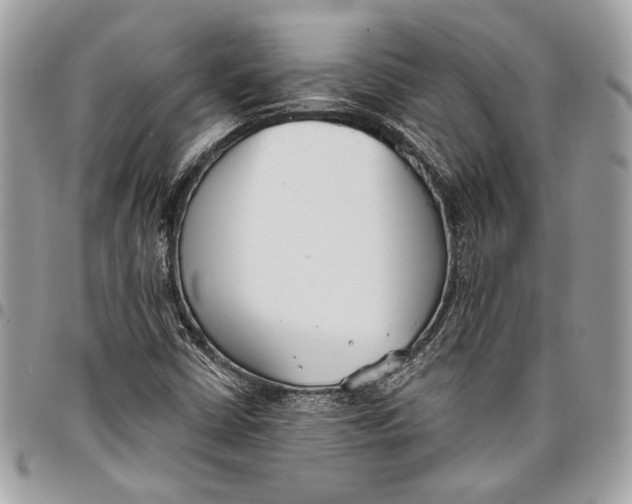 X0000096211402200802081451