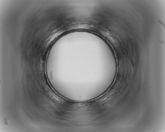 X0000096211404200802081451