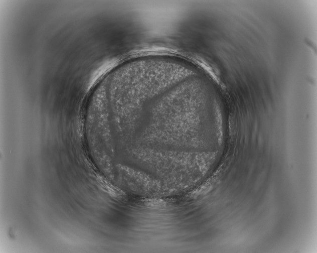 X0000096211405200802081451