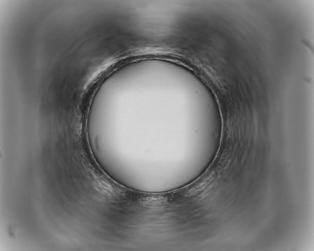 X0000096211406200802081451