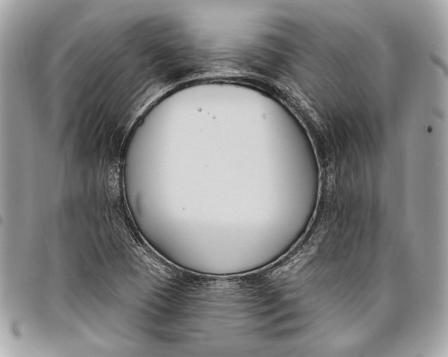 X0000096211409200802081451