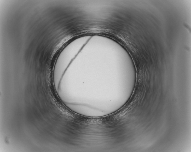 X0000096211410200802081451