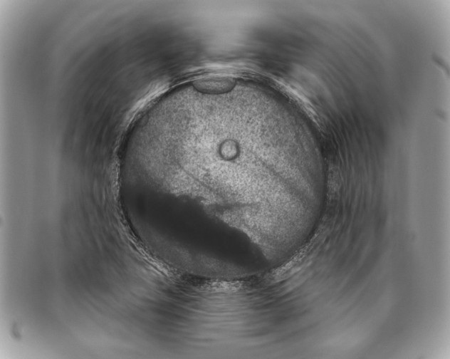 X0000096211411200802081451