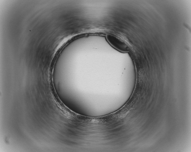 X0000096211412200802081451