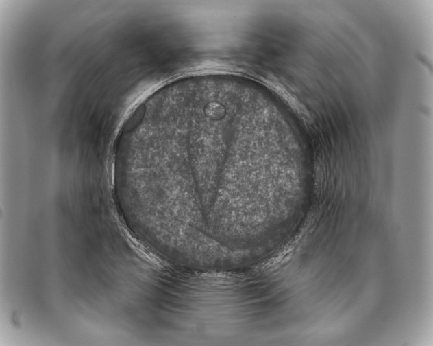 X0000096211413200802081451