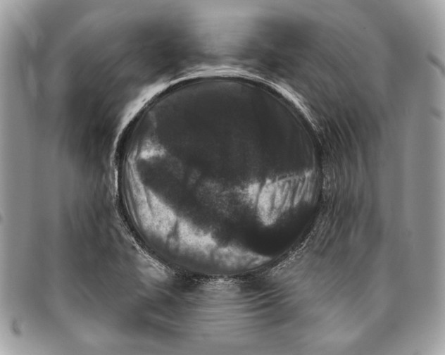 X0000096211414200802081451