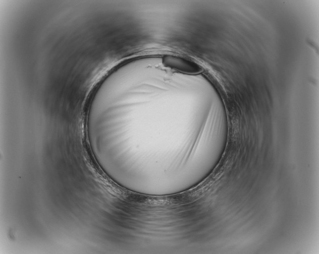 X0000096211415200802081451