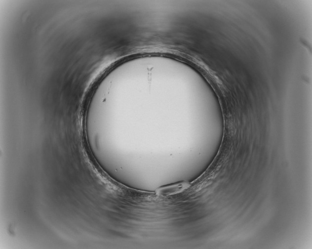 X0000096211416200802081451