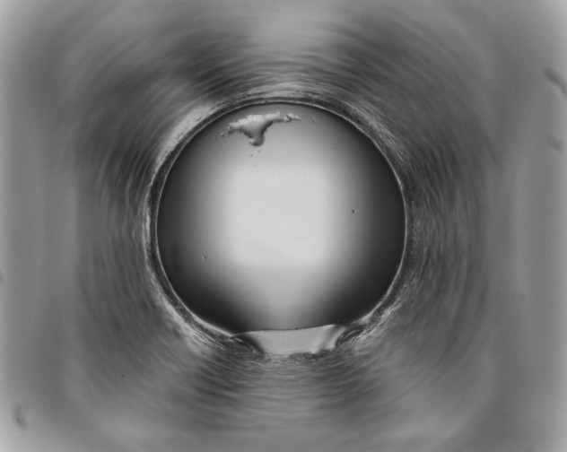 X0000096211418200802081451