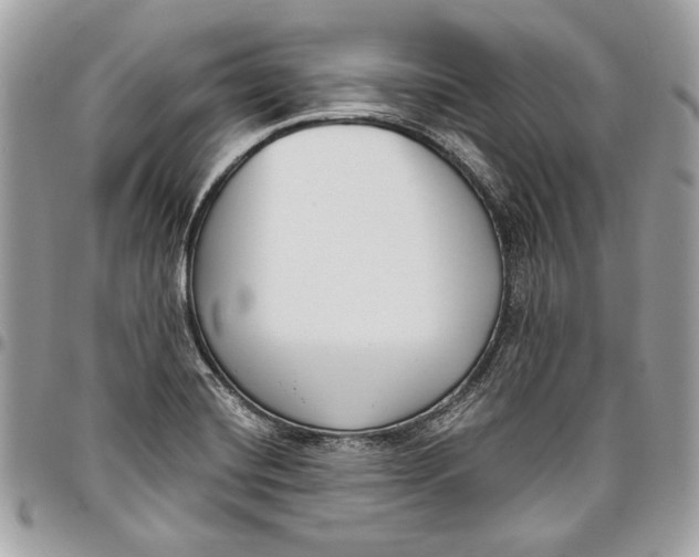 X0000096211420200802081451