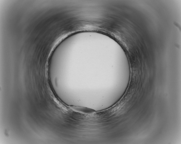 X0000096211421200802081451