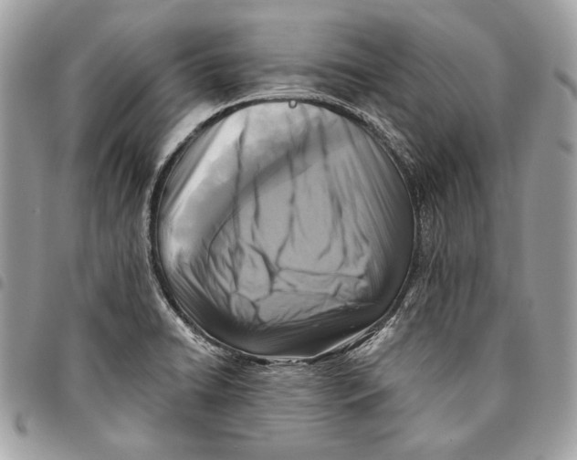 X0000096211422200802081451