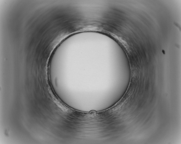 X0000096211423200802081451