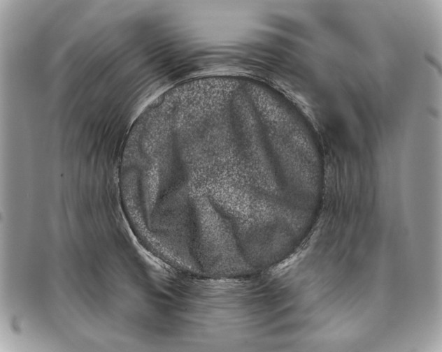 X0000096211425200802081451