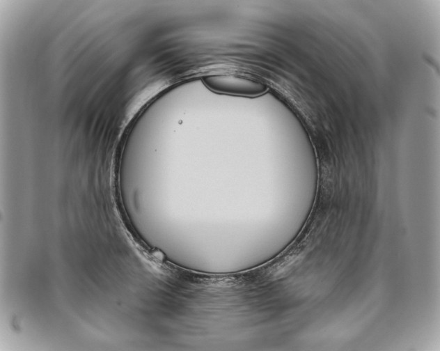 X0000096211426200802081451