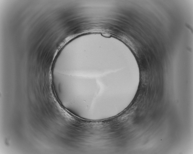 X0000096211428200802081451