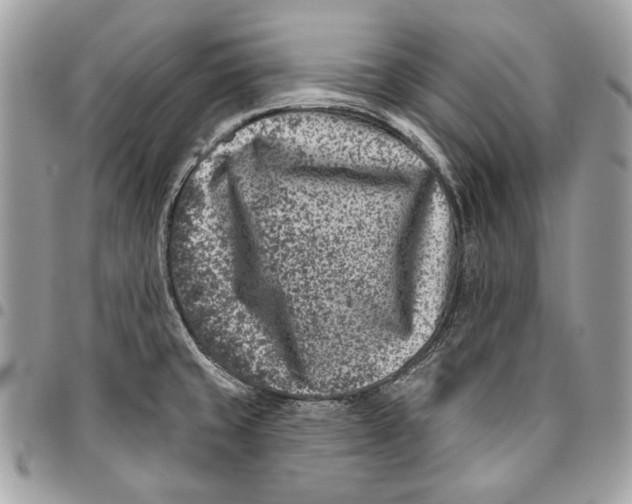 X0000096211429200802081451