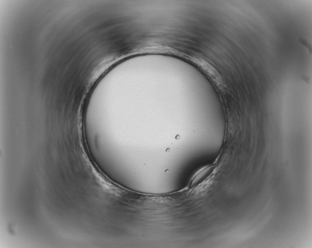 X0000096211430200802081451