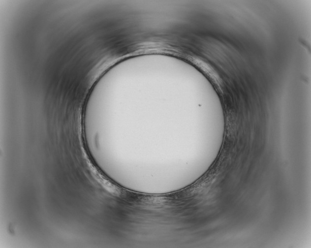 X0000096211431200802081451