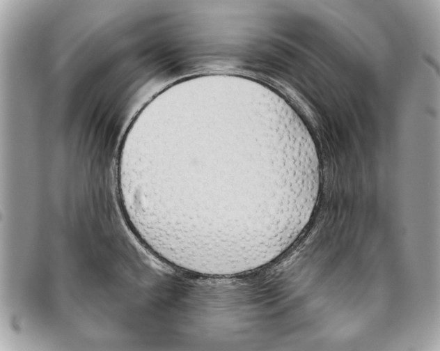 X0000096211432200802081451