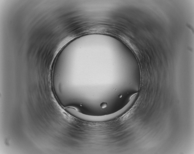 X0000096211434200802081451