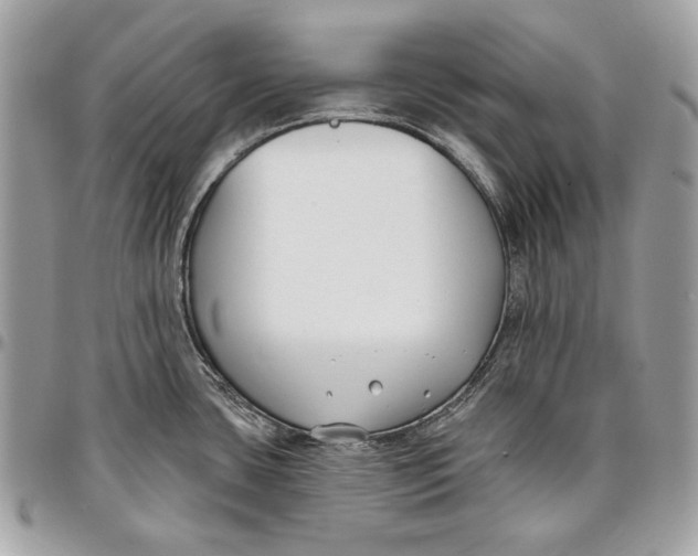 X0000096211435200802081451