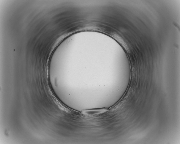 X0000096211436200802081451